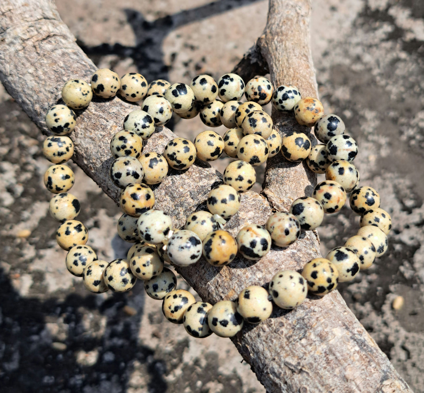 Dalmatian 08mm beads Bracelet