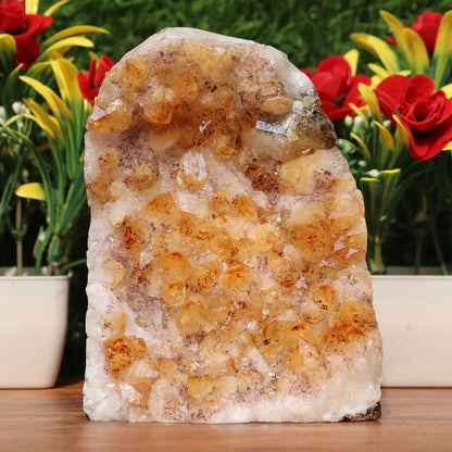 Citrine Geode cathedral crystal cluster - 4X4X5.5 Inch(3.71Lb)