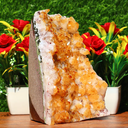 Citrine Geode cathedral crystal cluster - 7X4.6X3.8 Inch(5.03b)