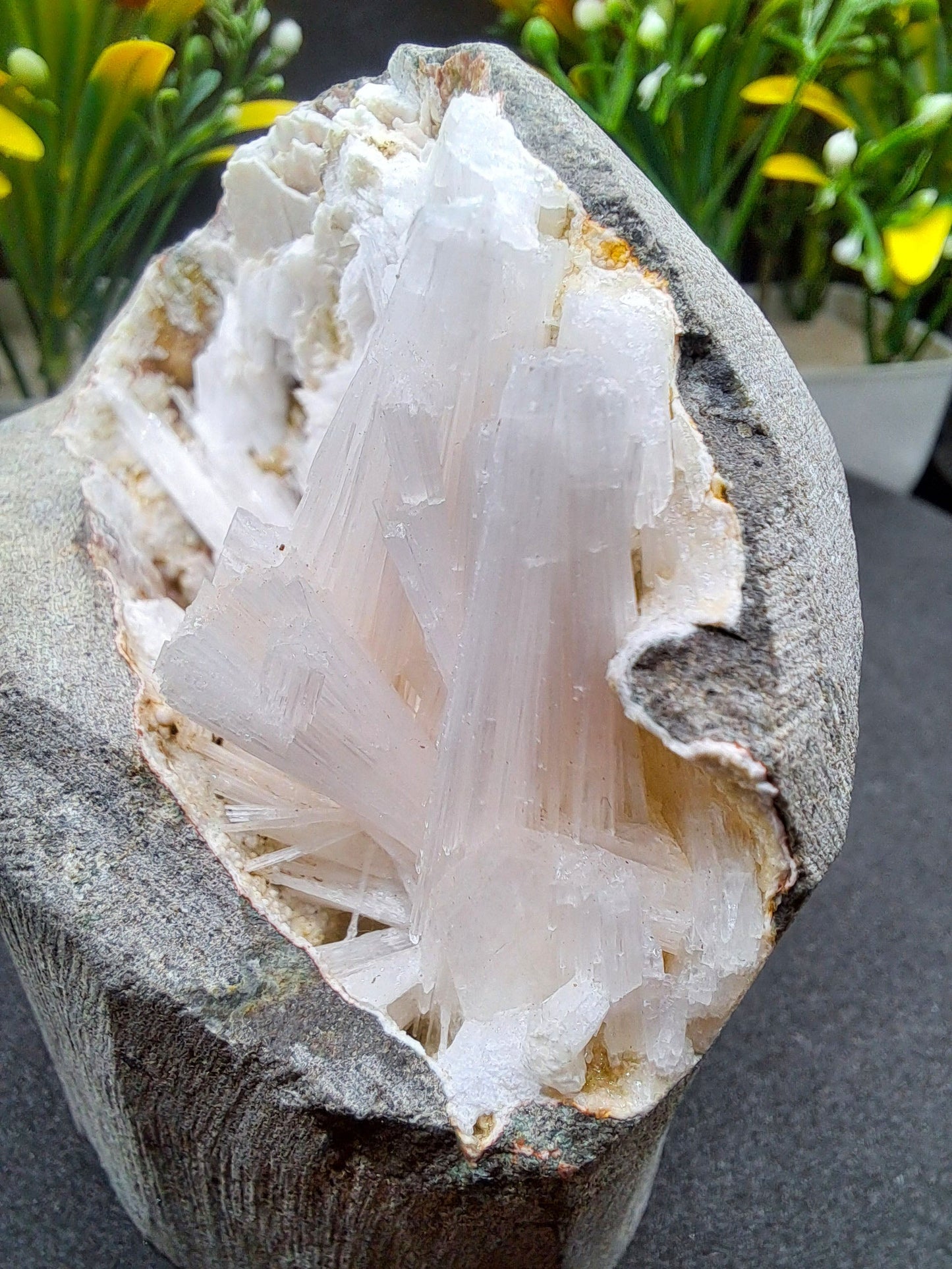 Scolecite Geode, Natural Scolecite Flower,Display Piece