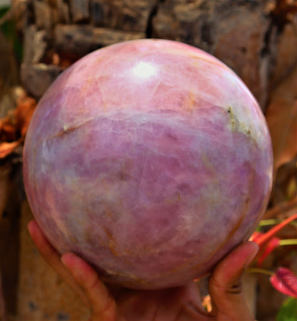 Giant Natural Rose Quartz Crystal Ball, 6.3 Inch Diameter, 5.6 Kg Weight, for Healing, Meditation and Spiritual Purpose