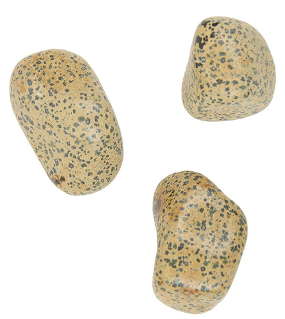 Dalmatian Tumbled|100GR |5-6Pc| |2.5-3 cm|Healing Tumbled Stones