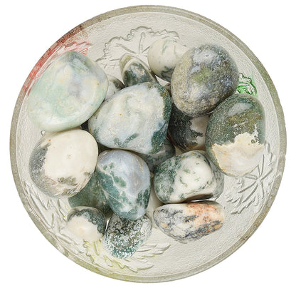 Tree Agate Tumbled|100GR |5-6Pc| |2.5-3 cm|Healing Tumbled Stones