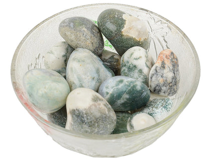 Tree Agate Tumbled|100GR |5-6Pc| |2.5-3 cm|Healing Tumbled Stones