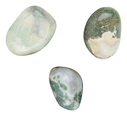 Tree Agate Tumbled|100GR |5-6Pc| |2.5-3 cm|Healing Tumbled Stones